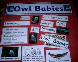 Owl Babies